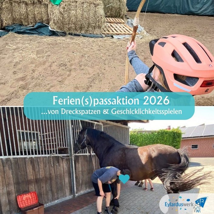 🐴💛 𝑾𝒆𝒓 𝒓𝒆𝒊𝒕𝒆𝒏 𝒎ö𝒄𝒉𝒕𝒆, 𝒍𝒆𝒓𝒏𝒕 𝒃𝒆𝒊 𝒖𝒏𝒔 𝒂𝒖𝒄𝒉, 𝑽𝒆𝒓𝒂𝒏𝒕𝒘𝒐𝒓𝒕𝒖𝒏𝒈 𝒛𝒖 ü𝒃𝒆𝒓𝒏𝒆𝒉𝒎𝒆𝒏.

Ein Pferd trägt einen nicht einfach nur durch...