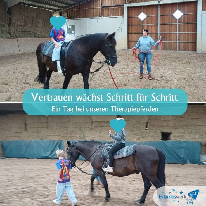 🐴🌿 𝑬𝒓𝒔𝒕 𝒗𝒐𝒓𝒔𝒊𝒄𝒉𝒕𝒊𝒈 𝒅𝒊𝒆 𝒁ü𝒈𝒆𝒍 𝒊𝒏 𝒅𝒊𝒆 𝑯𝒂𝒏𝒅 𝒏𝒆𝒉𝒎𝒆𝒏. 𝑫𝒂𝒏𝒏 𝒅𝒂𝒔 𝑷𝒇𝒆𝒓𝒅 𝒔𝒆𝒍𝒃𝒔𝒕 𝒇ü𝒉𝒓𝒆𝒏. 𝑼𝒏𝒅 𝒊𝒓𝒈𝒆𝒏𝒅𝒘𝒂𝒏𝒏 𝒈𝒂𝒏𝒛 𝒔𝒆𝒍𝒃𝒔𝒕𝒗𝒆𝒓𝒔𝒕ä𝒏𝒅𝒍𝒊𝒄𝒉 𝒊𝒎...